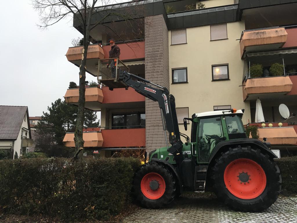 Baumfällung, Rodung, Holzrücken, Holzbergung, Mäharbeiten und Wiesenpflege 